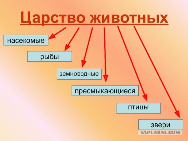 Есть ли у человека душа?