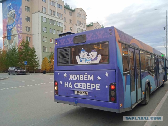 Полярные выходные