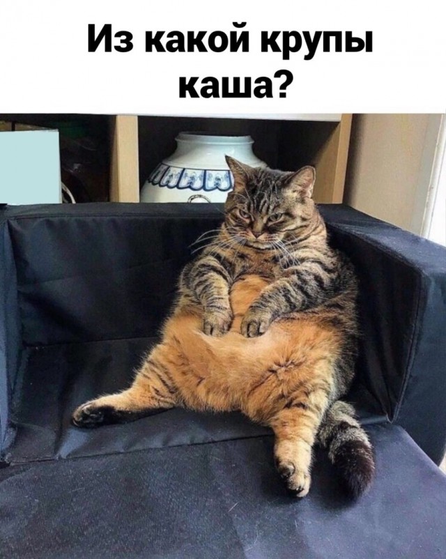 Бьёт, значит любит? А если ещё и пьет...
