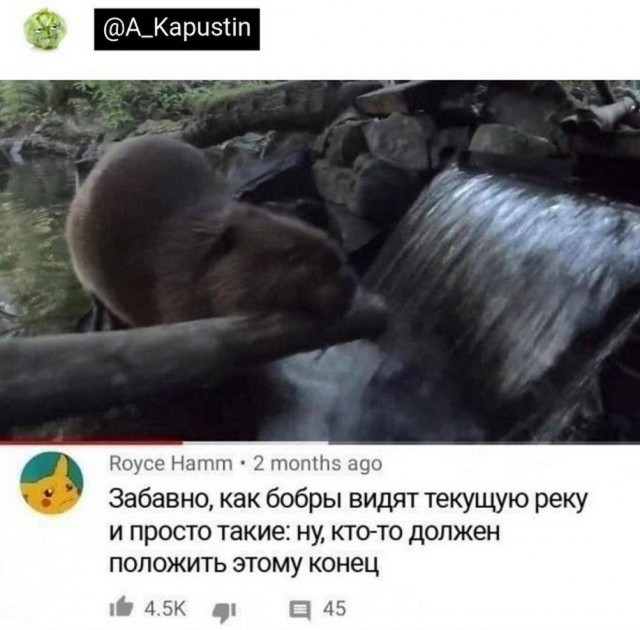 Прикольные и просто красивые картинки 16.05.2023
