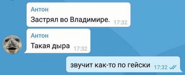 Весёлый полтишок 08.07.23