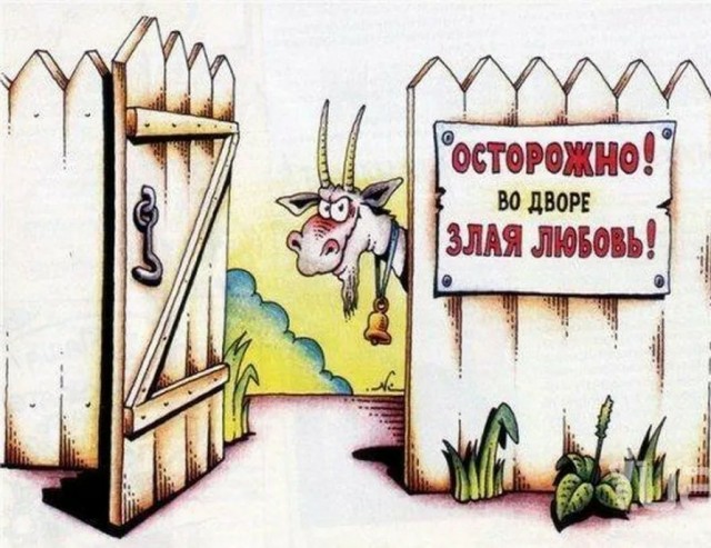 Увела мужа и поплатилась жизнью
