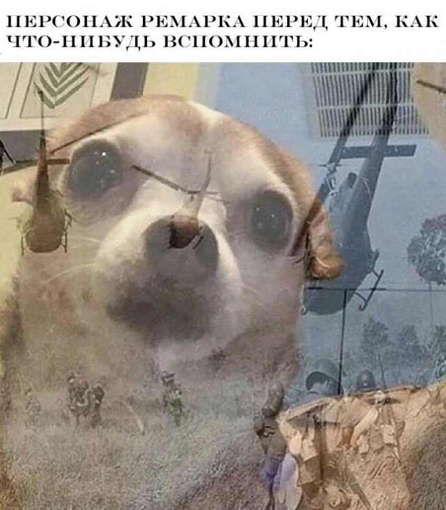 Так себе картинки 20.12.23