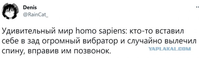 Товарищи, яповцы, подскажите, прострелило