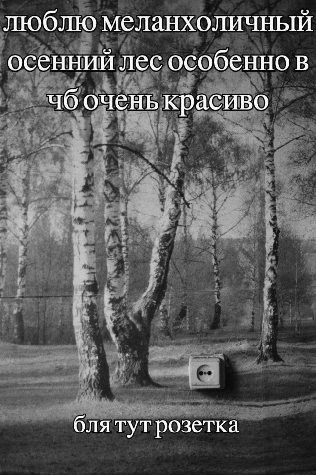 Всего понемногу. От 23.02.24