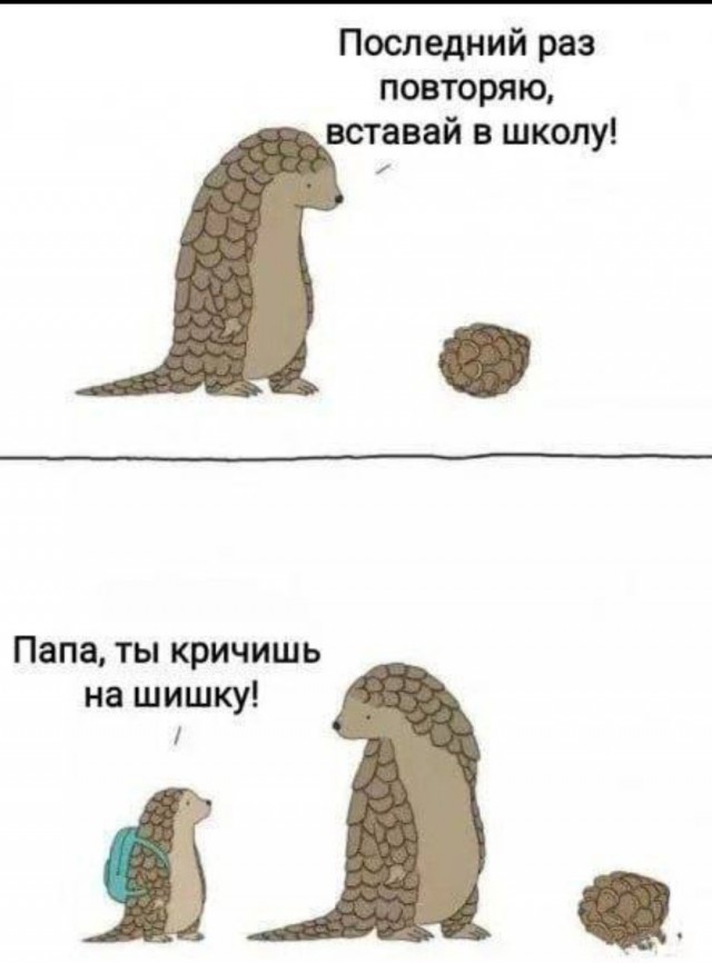 Как заставить лентяя ходить в школу?