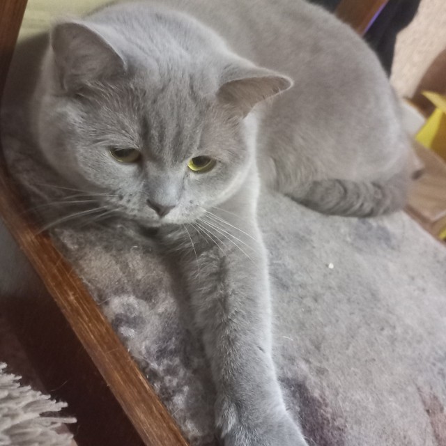 Еще раз про валенки