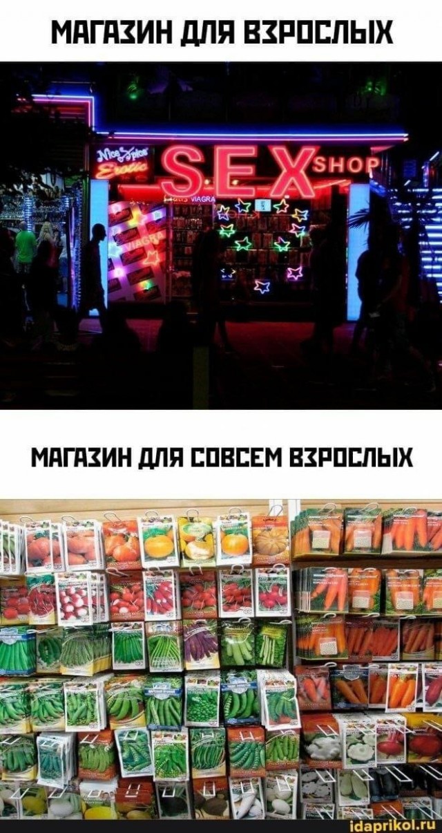 Развлечения взрослых 18+