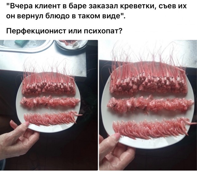 Весёлый полтишок 04.06.24