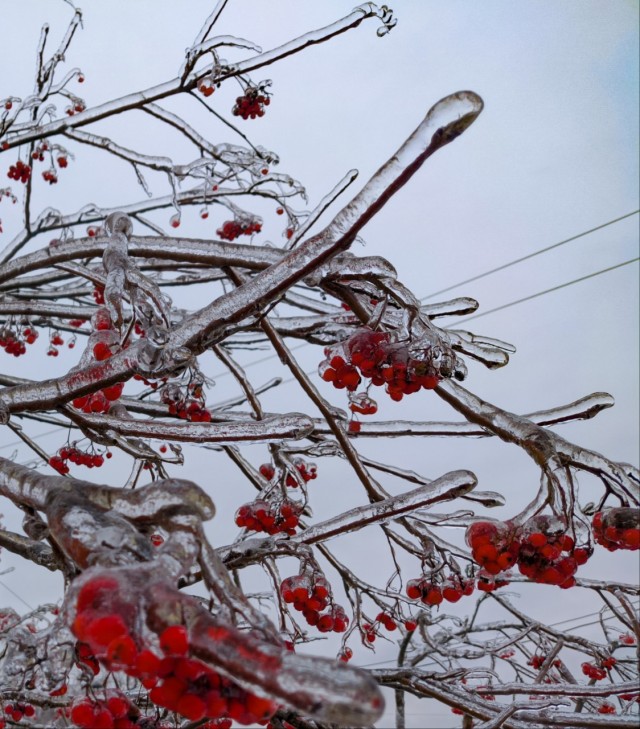 Фоточку сделал сейчас