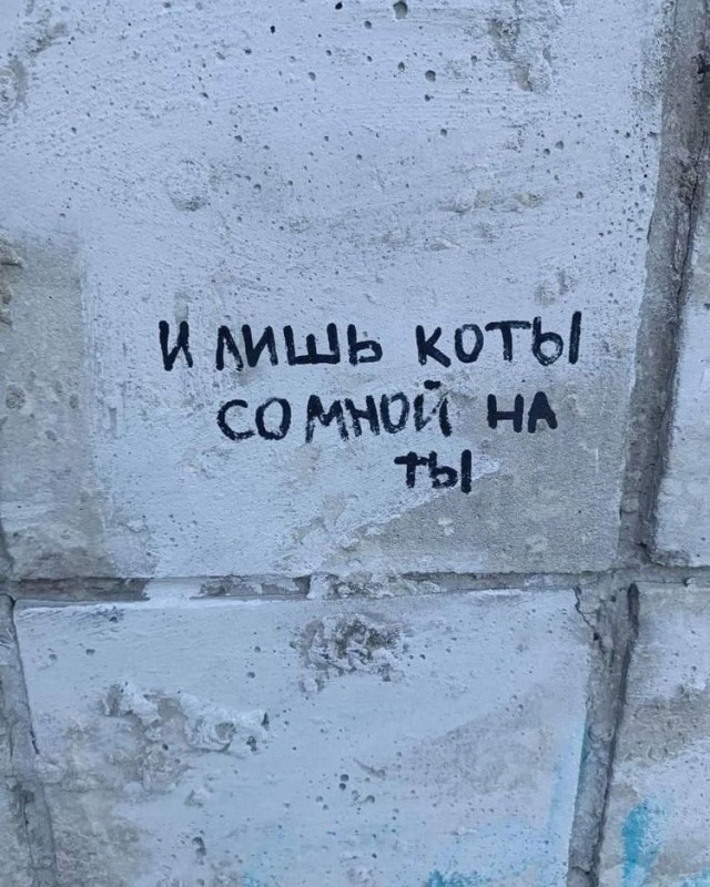 Прикольные и просто красивые картинки 14.06.24