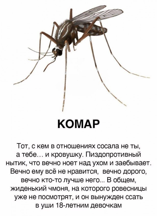 Юмор в картинках и без
