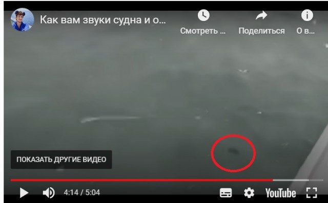 Когда стихии пофиг, сколько весит корабль