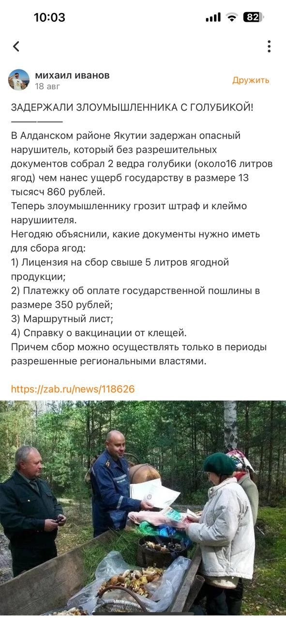 Сходил блть за ягодой