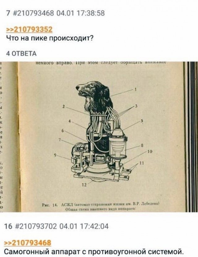 Околокулинарные картинки