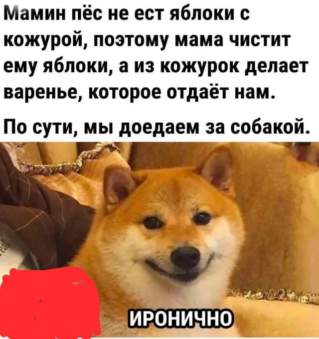 Завалялось тут случайно немного забавных картинок