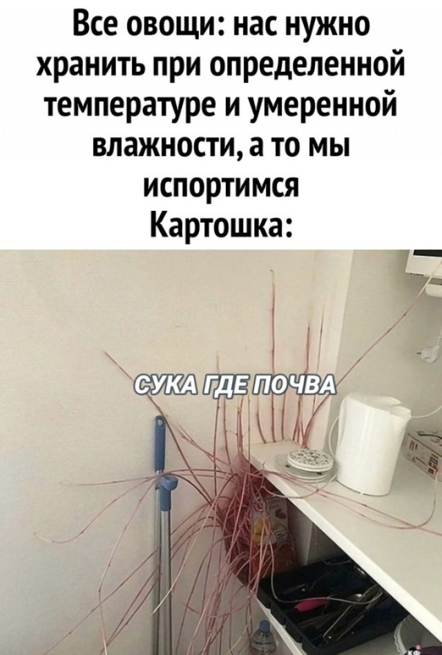 Так себе картинки 29.11.24