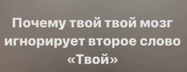 Немного забавных картинок от 22.12.24