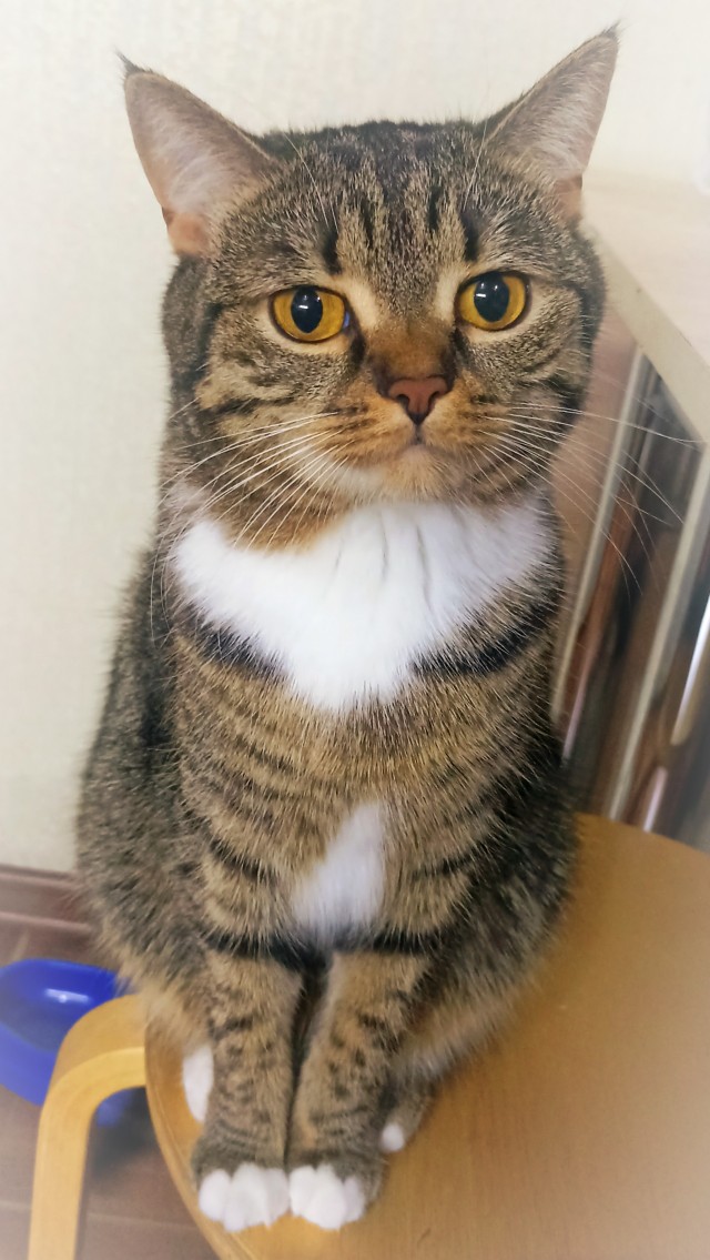 10 лет