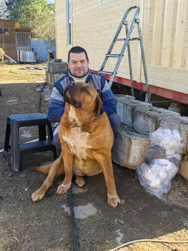 Купили пёсика