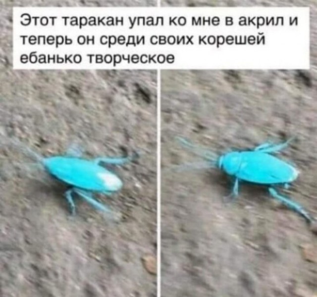 Так себе картинки 25.03.25