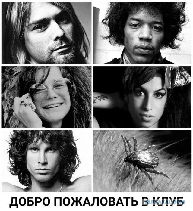 Сейчас бы поваляться на траве