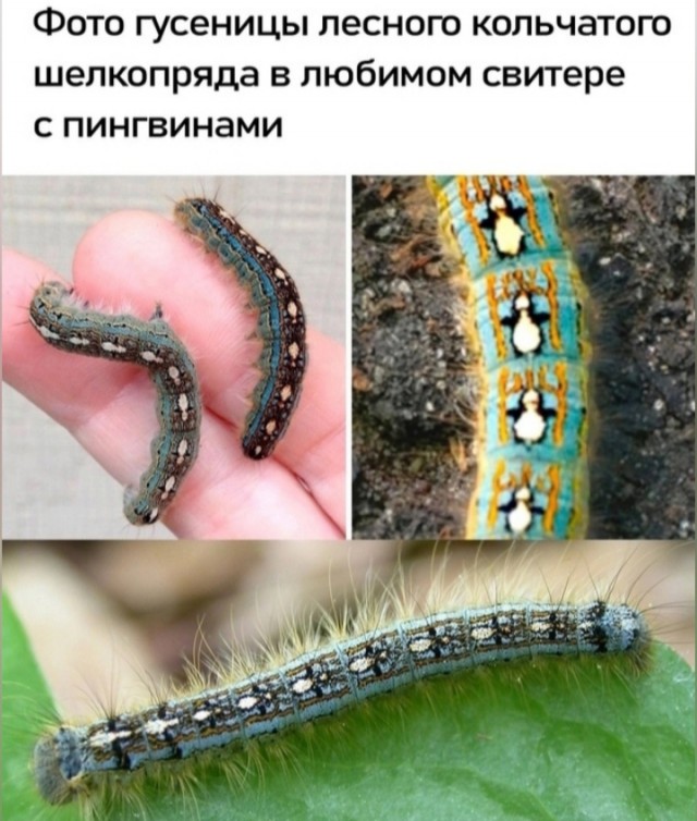 Завалялось тут случайно немного забавных картинок