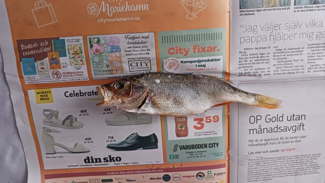 Как я чищу сушёных окуней.