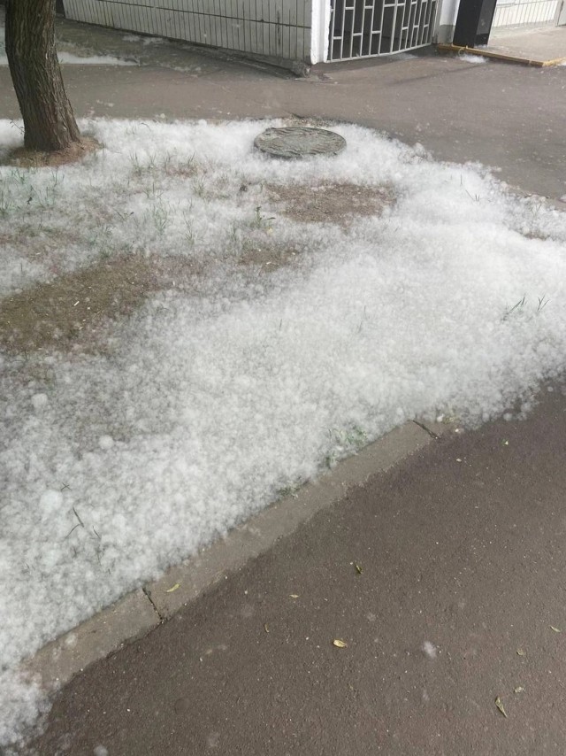 Тополиный пух, жара и май