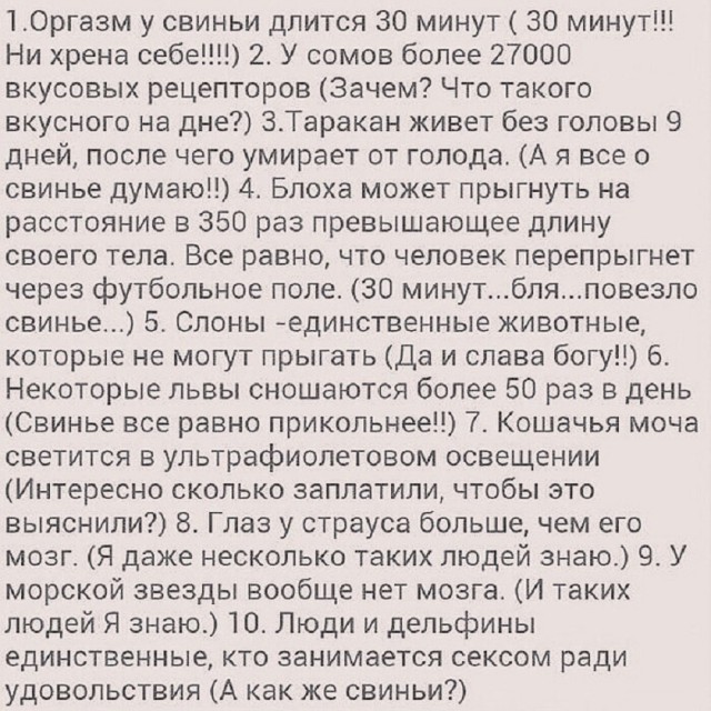 Так себе картинки 13.06.25