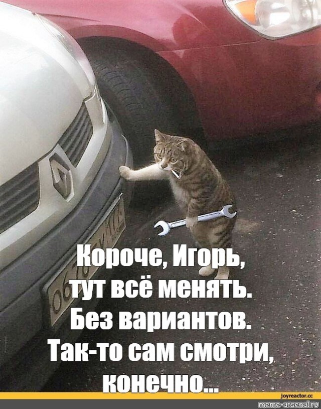 Малютка-котенок застрял под капотом электромобиля на улице Лавочкина — его пытались достать оттуда целых два дня