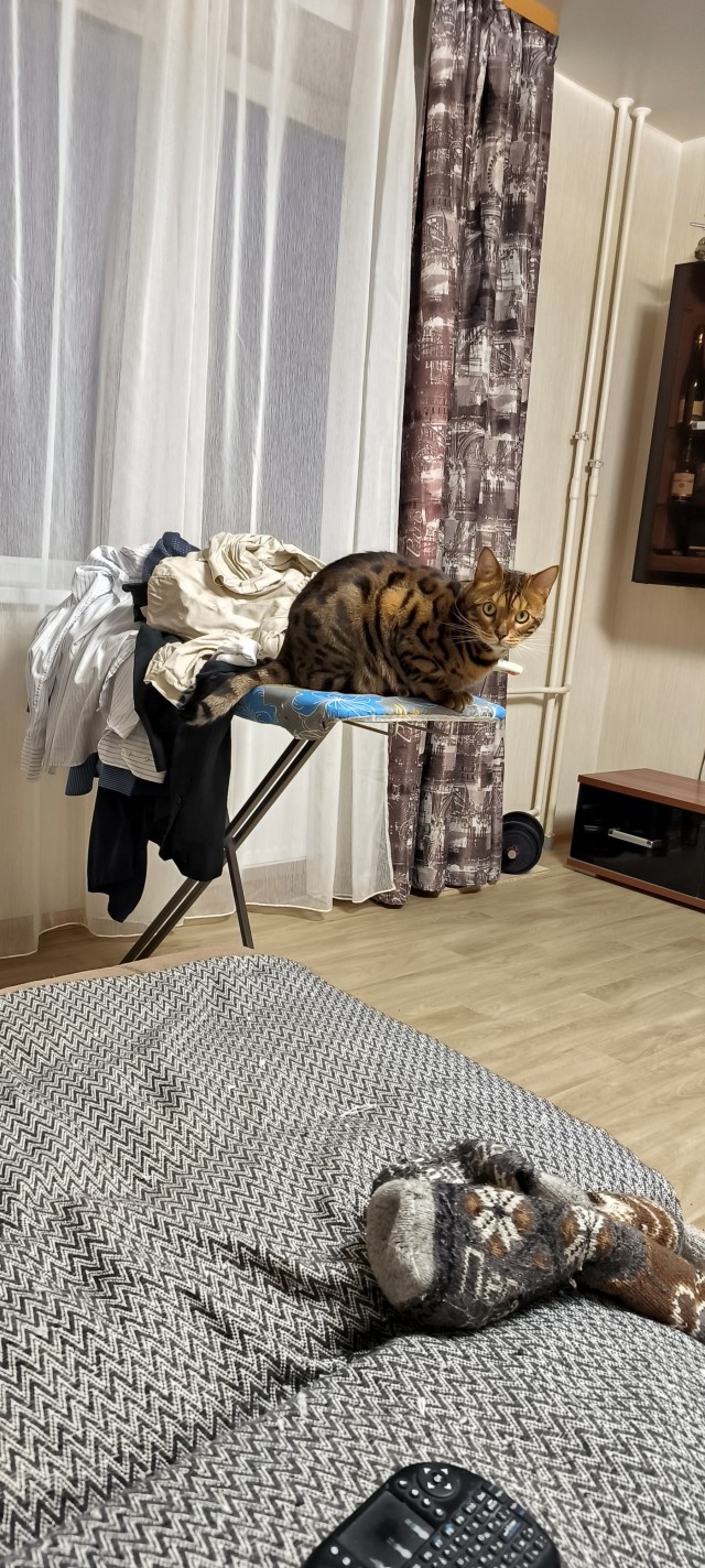 Клуб рабов пополнился