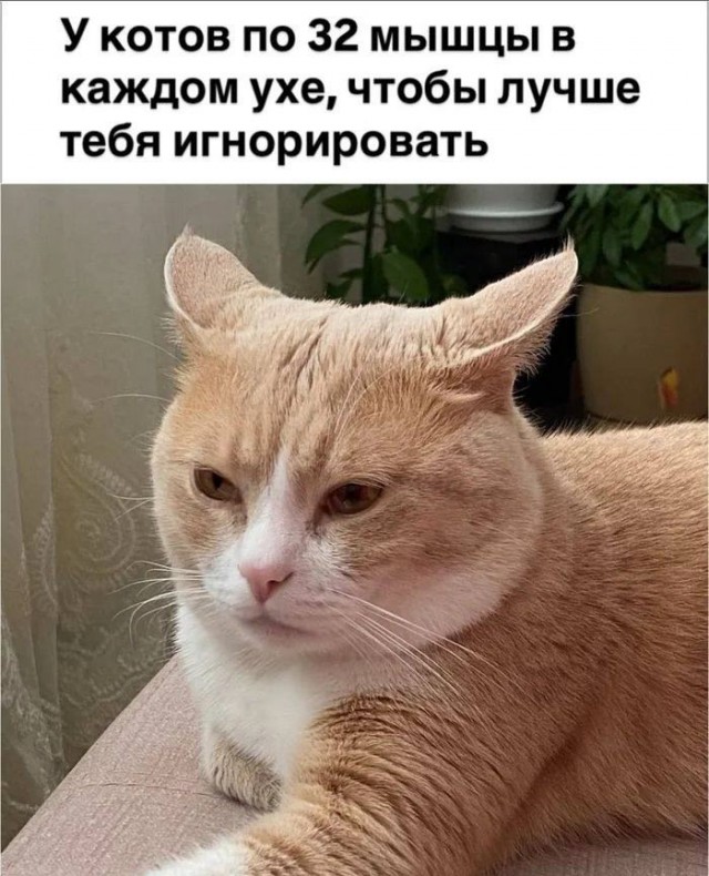 Картинки среды