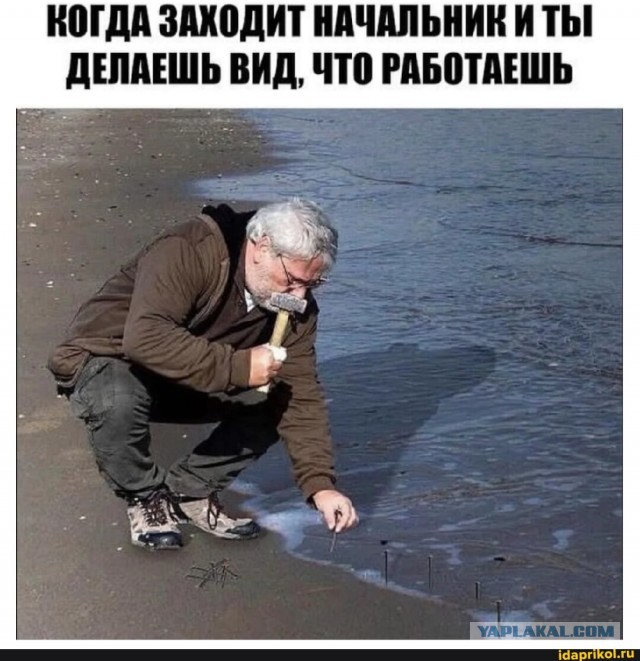 Веселые картинки в пятницу (07.11)