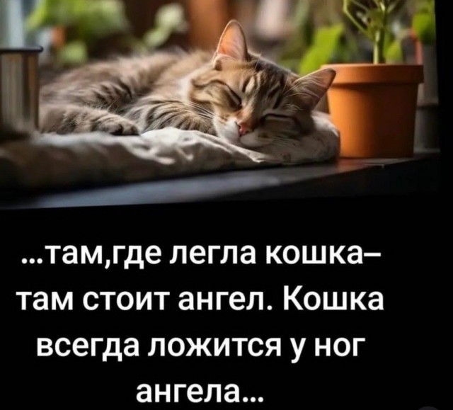 Прикольные и просто красивые картинки 18.11.2025