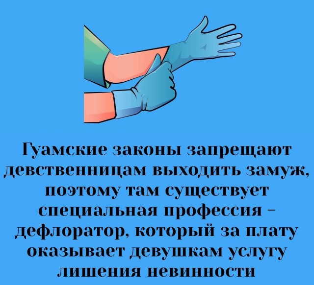 Забавные и не очень скромные картинки - 18