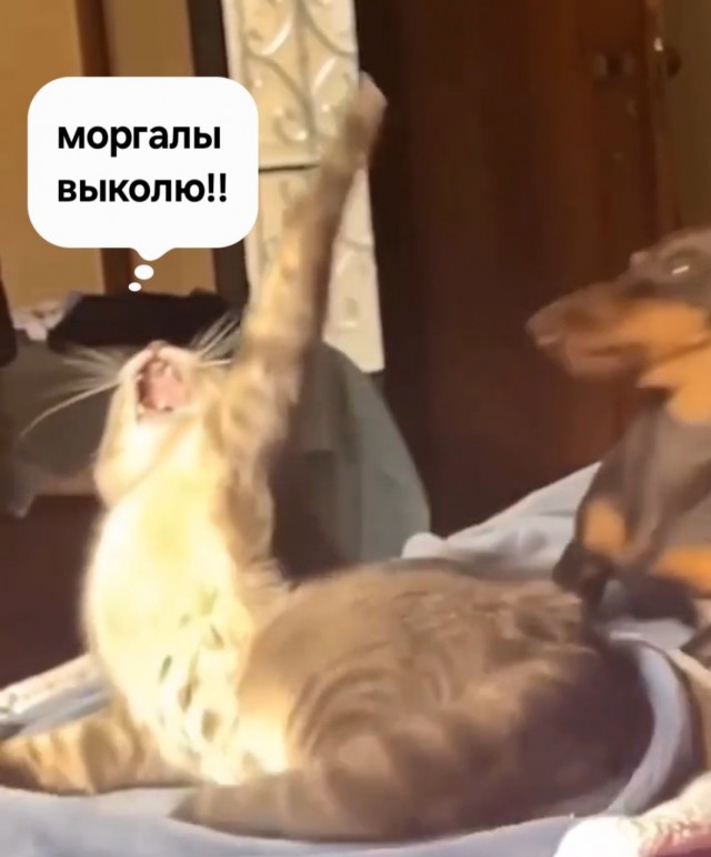 Хоррор