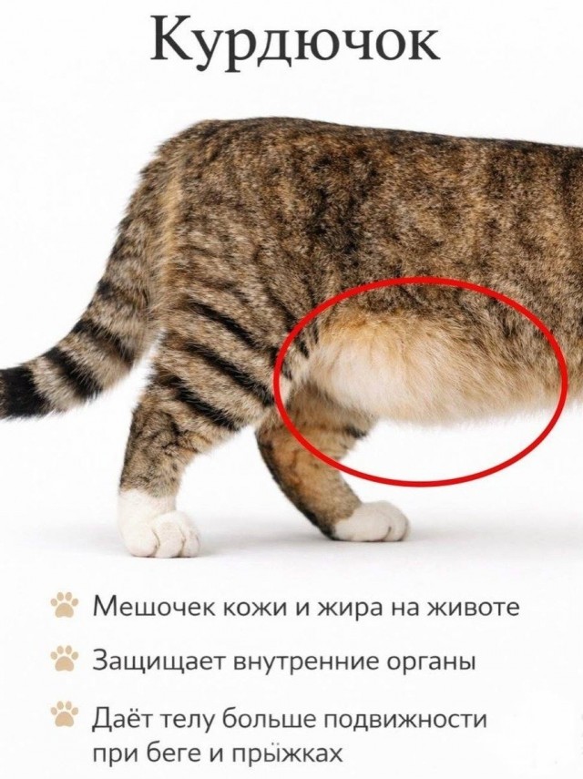 Так себе картинки 24.02.26