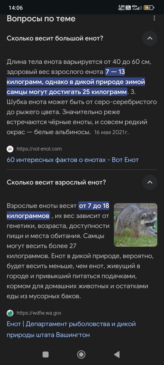 Про енота