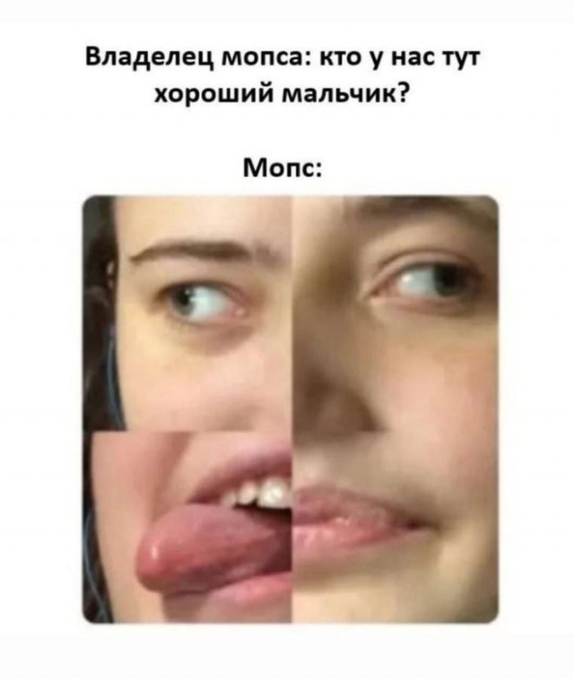 Веселые картинки в понедельник (25.05)