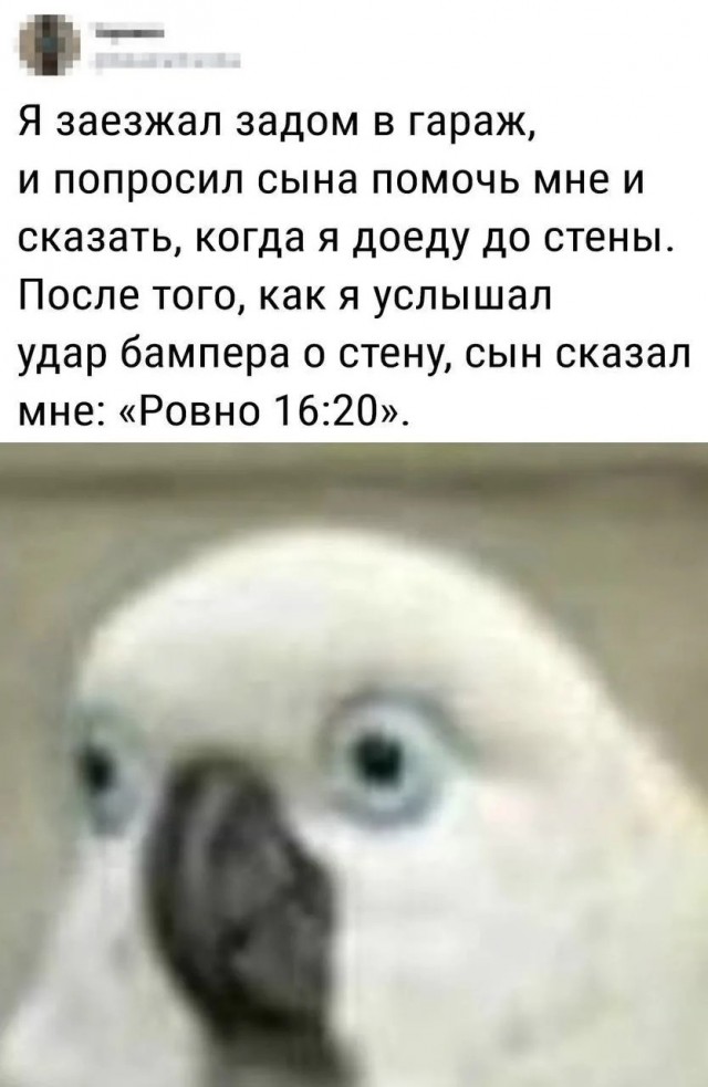 Веселые картинки в понедельник (08.06)