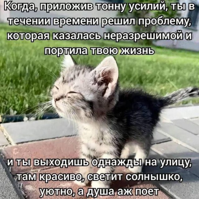 Картинки для деградации 224 (разной степени свежести)