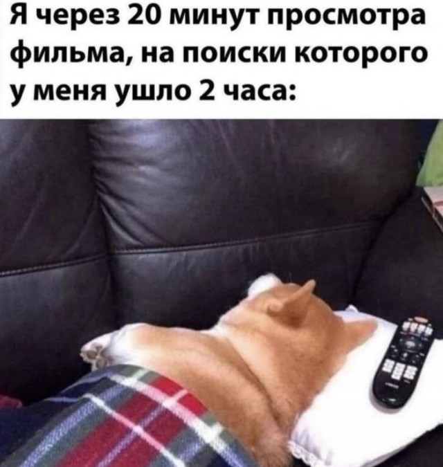 Картиночки, баянчики 27 июня
