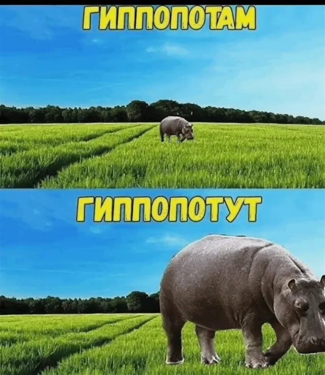 Мужик, испугался?