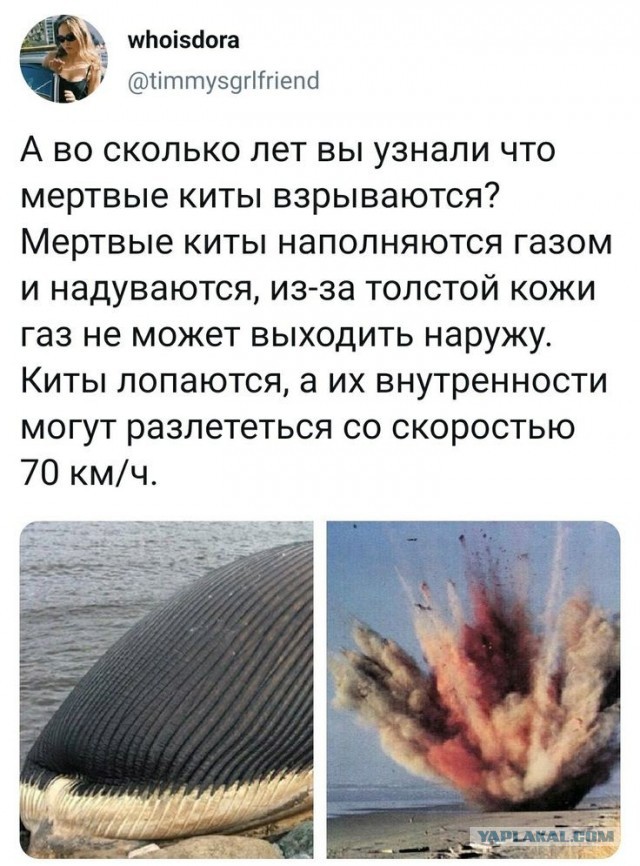 Дерьмо случается