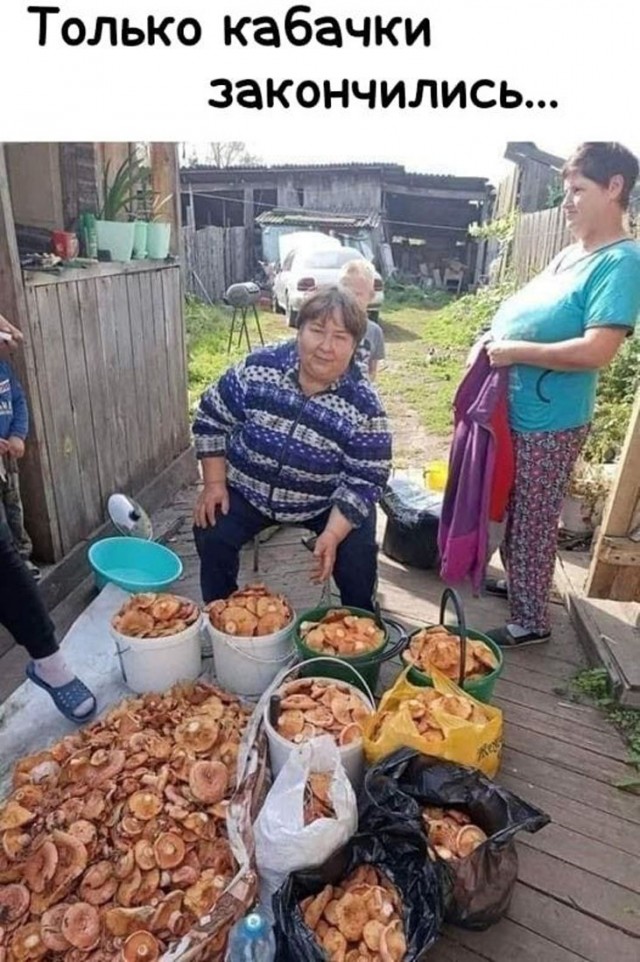 Прикольные и просто красивые картинки 01.09.2026