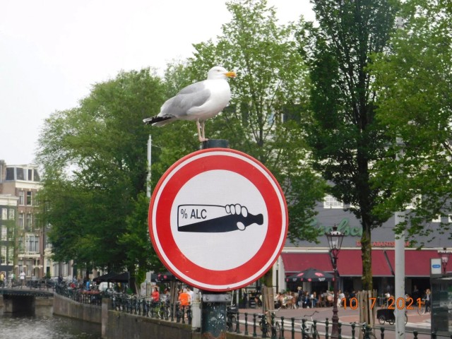 В моей жизни