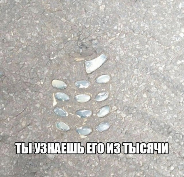 Так себе картинки 22.10.26