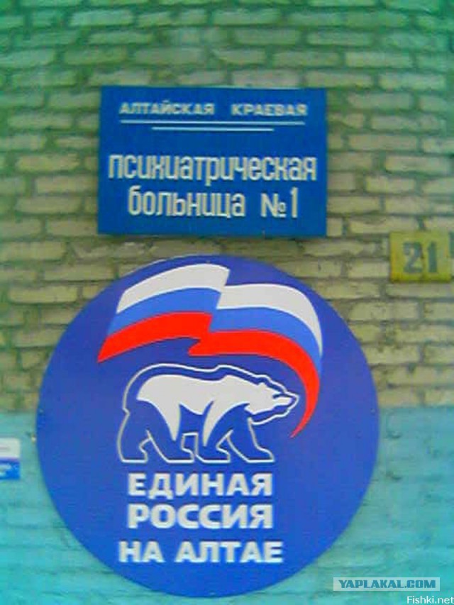 Маразмы года 2013