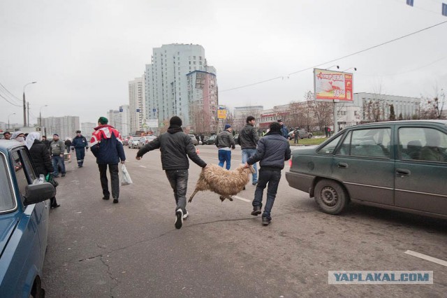 Майдан глазами милиции и Беркута